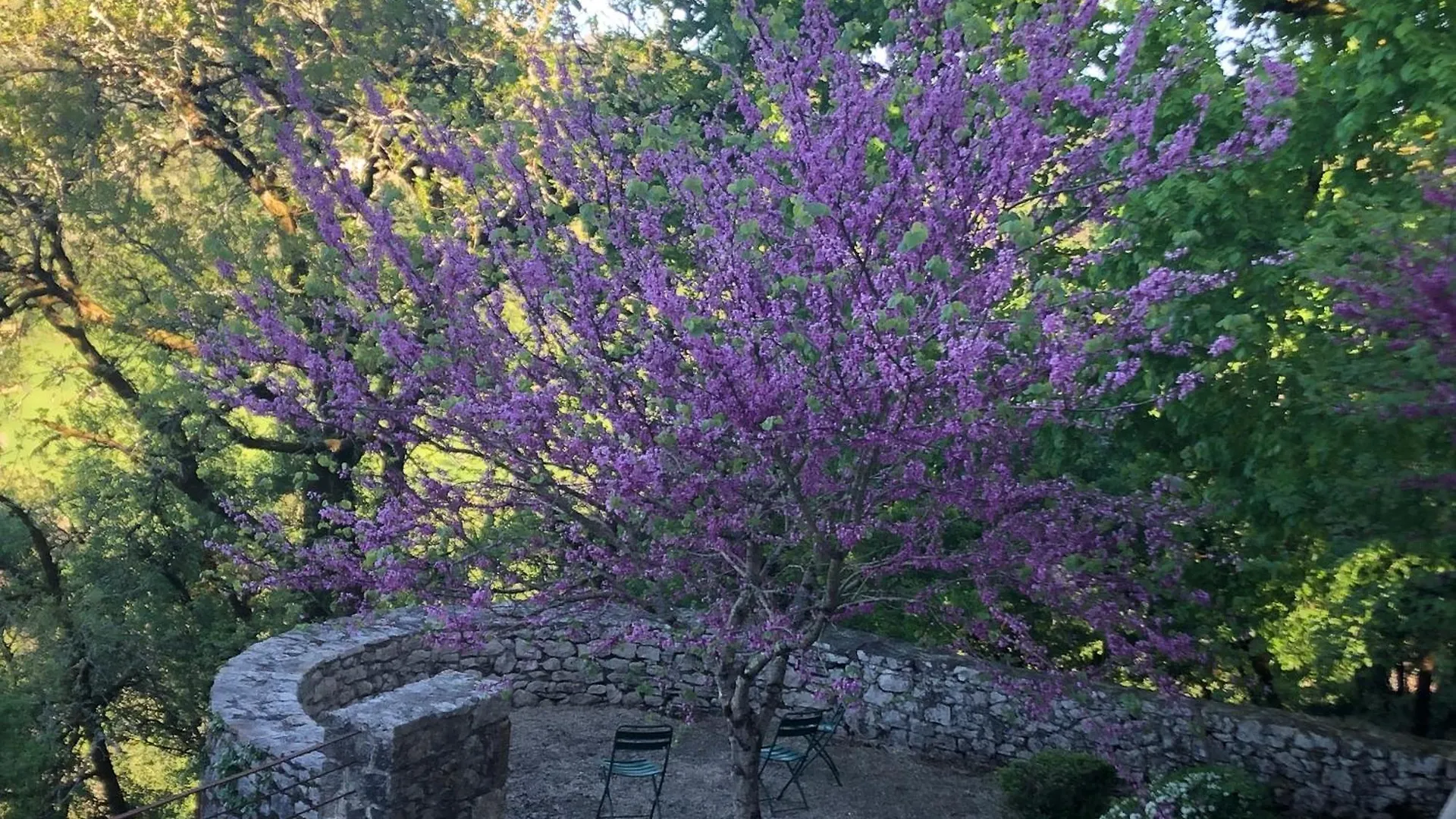 Chateau De Termes Martel