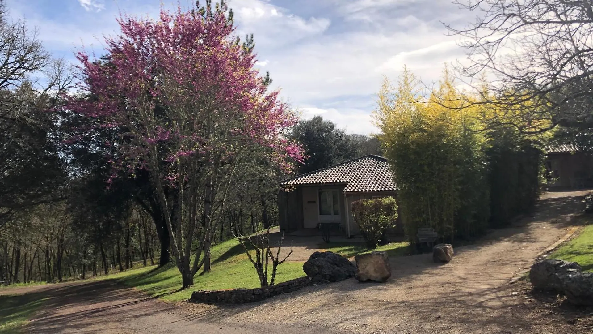 Holiday home Chateau De Termes Martel