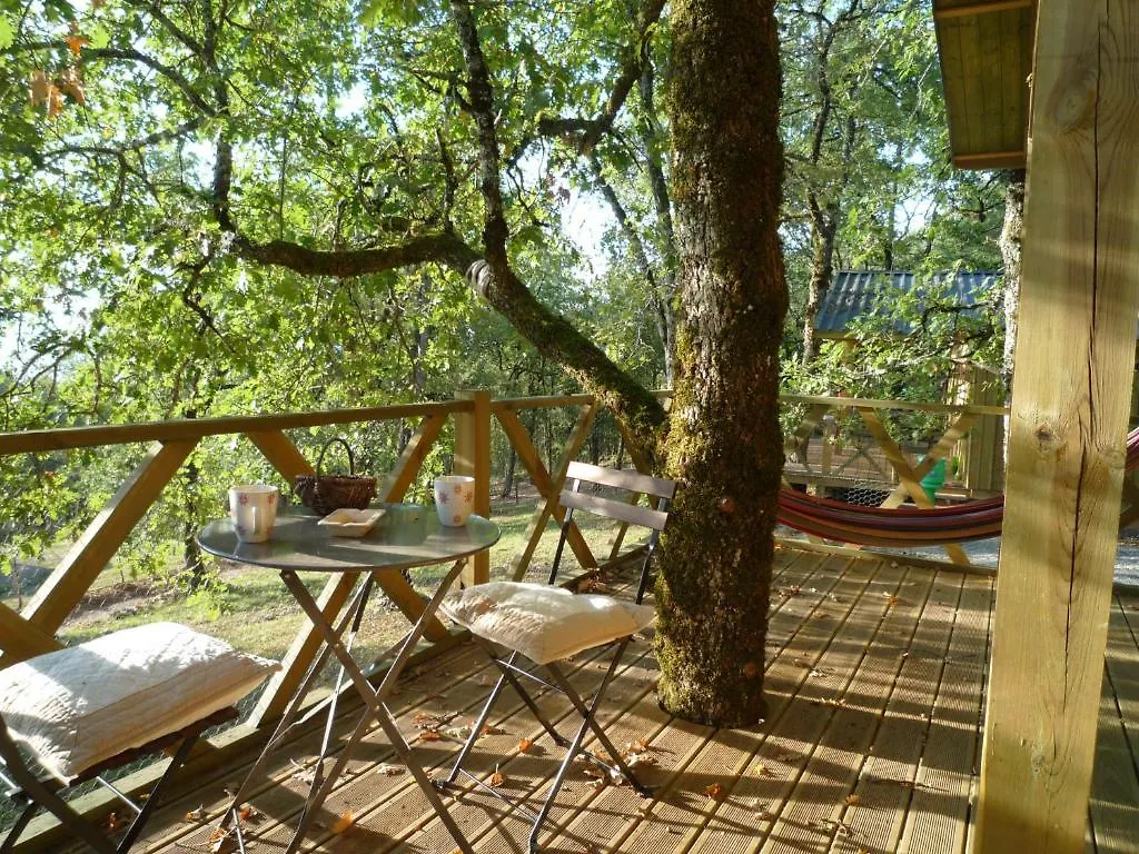 Chateau De Termes Martel Holiday home